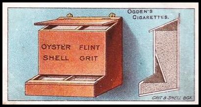 22OPR 12 Grit and Shell Box.jpg